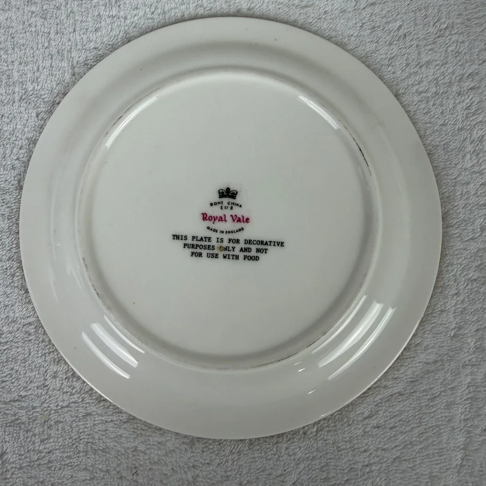 Royal‎ Vale Bone China Kingfisher Bird Decorative Plate E578 Made in England 6